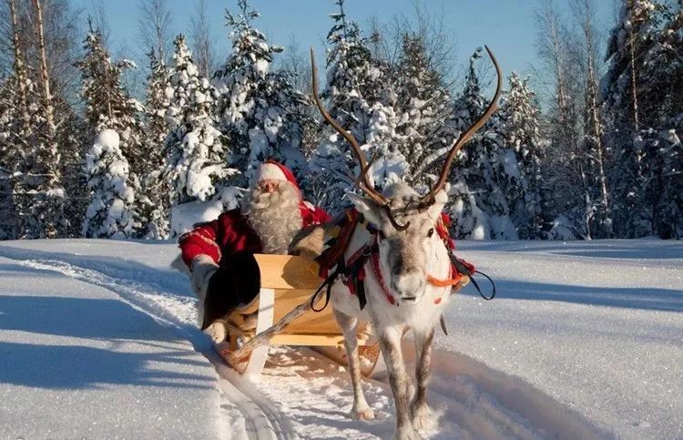 圣诞将至全球各地花式迎接,世界各地迎接圣诞节