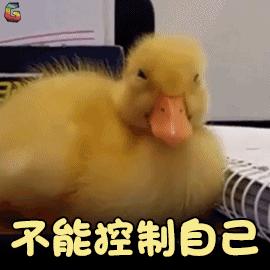 毛孩子发情期可以绝育吗,发情后怎么判断它需要绝育了