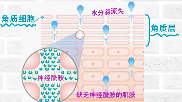 敏感肌换季好物,敏感肌水乳抗皱天花板