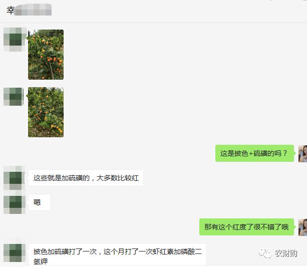 到底什么时候打着色剂好？用了几年的果农告诉你，实际效果如何