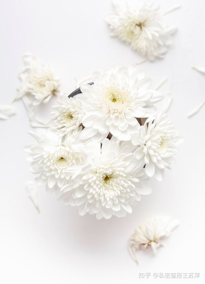 一般的私密整形有哪些,私密整形手术是什么