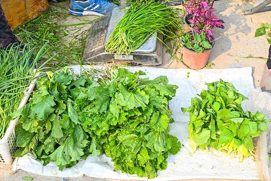 满满的烟火气逛大集真好玩,最值得逛的大集