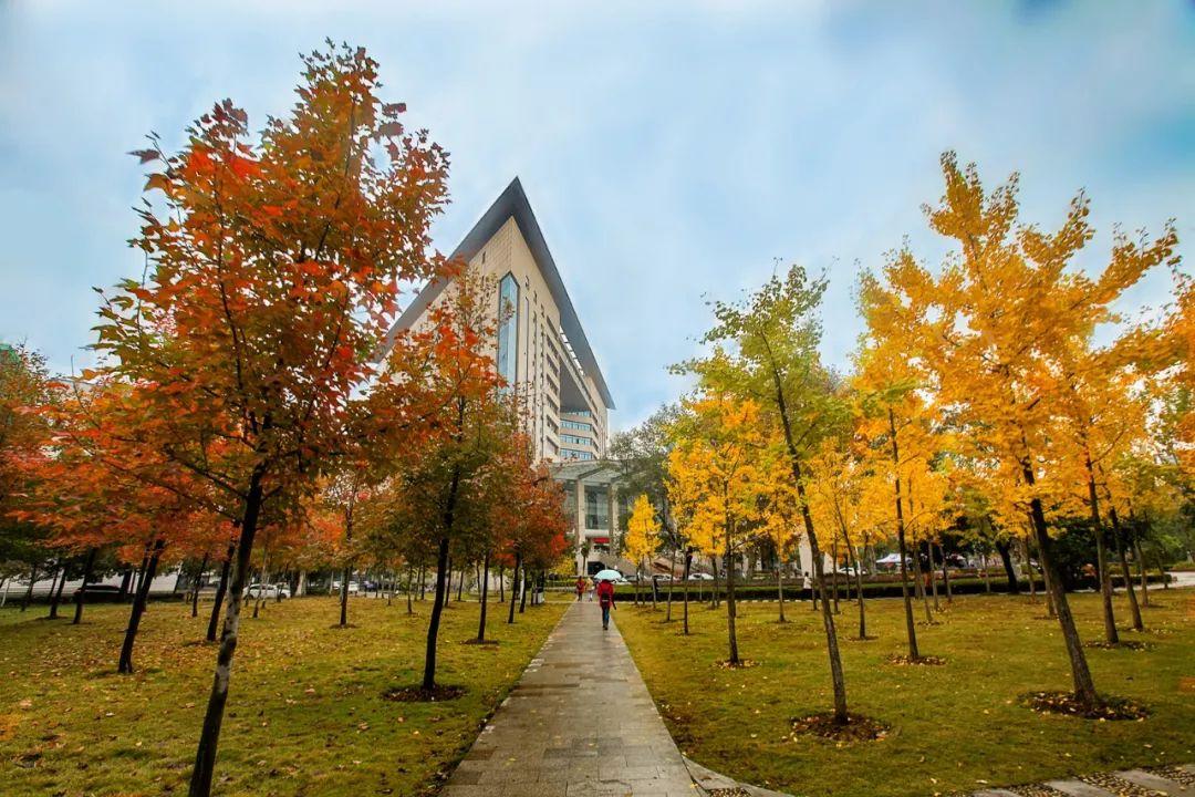 湖北省各大学排名一览表及分数线,湖北被低估的一本大学