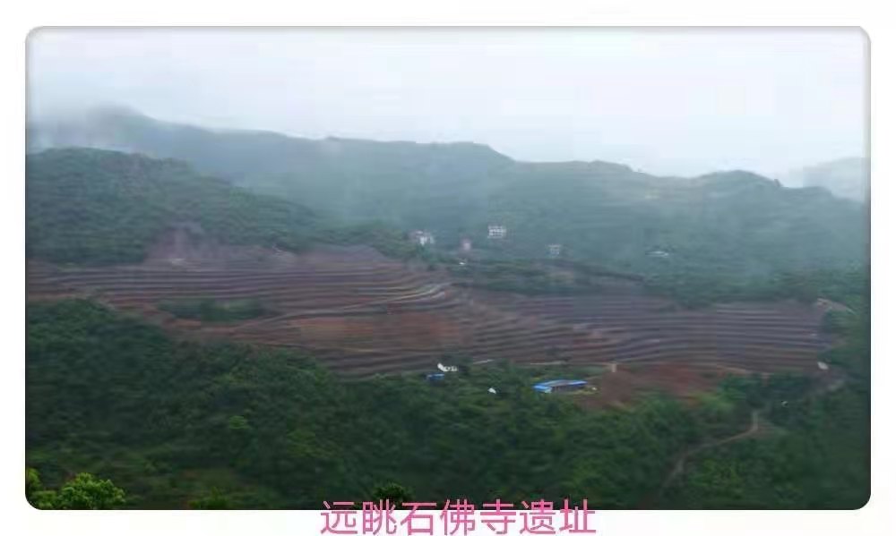 柯道士身世之谜浅析