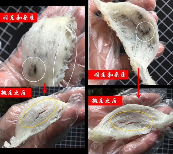 你一定要知道的燕窝小知识,燕窝知识百答之基础篇