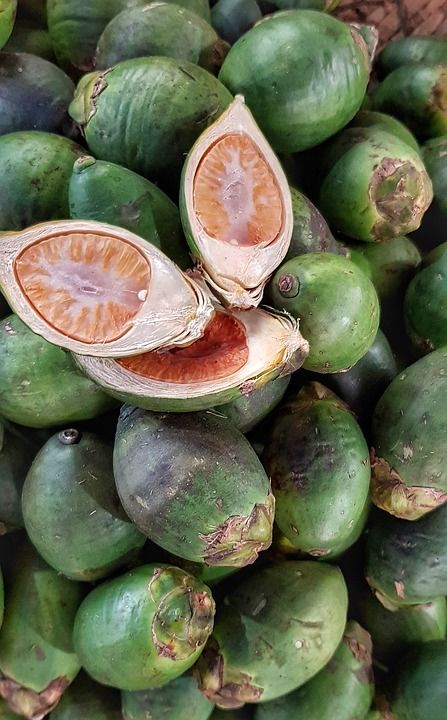 软性毒品一级致癌槟榔,国家规定槟榔是软性毒品吗