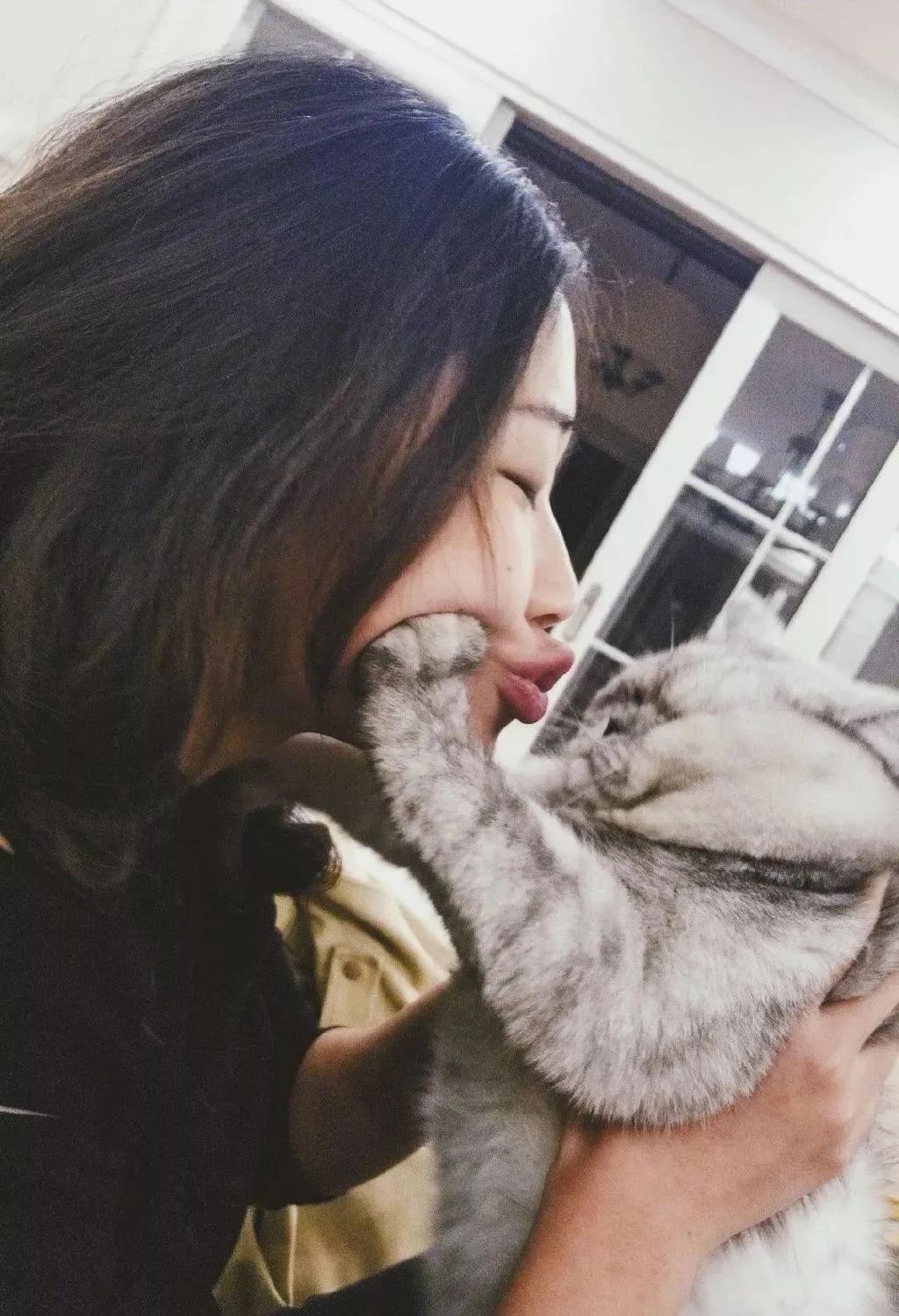 铲屎官请自重图,铲屎官请自重