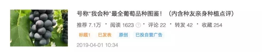 贡桔蜜橘沙糖桔,贡柑沙糖桔