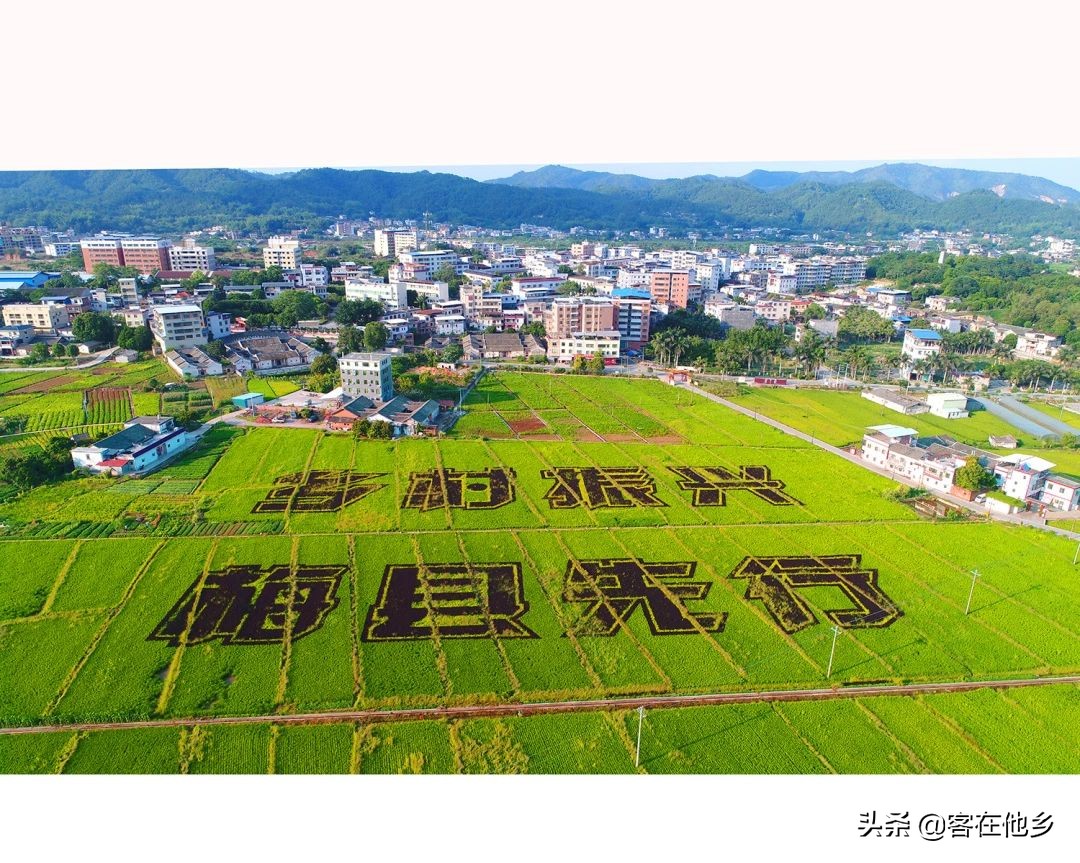 本港台播放过的动画,本港台曾经推出的纪录片
