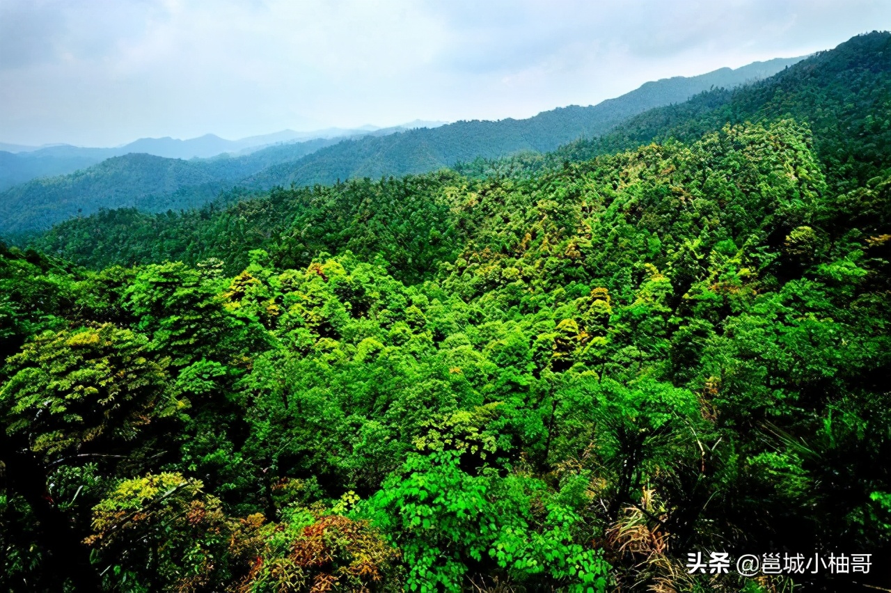 广西纺织招商引资最新消息,为啥广西越来越多工厂了