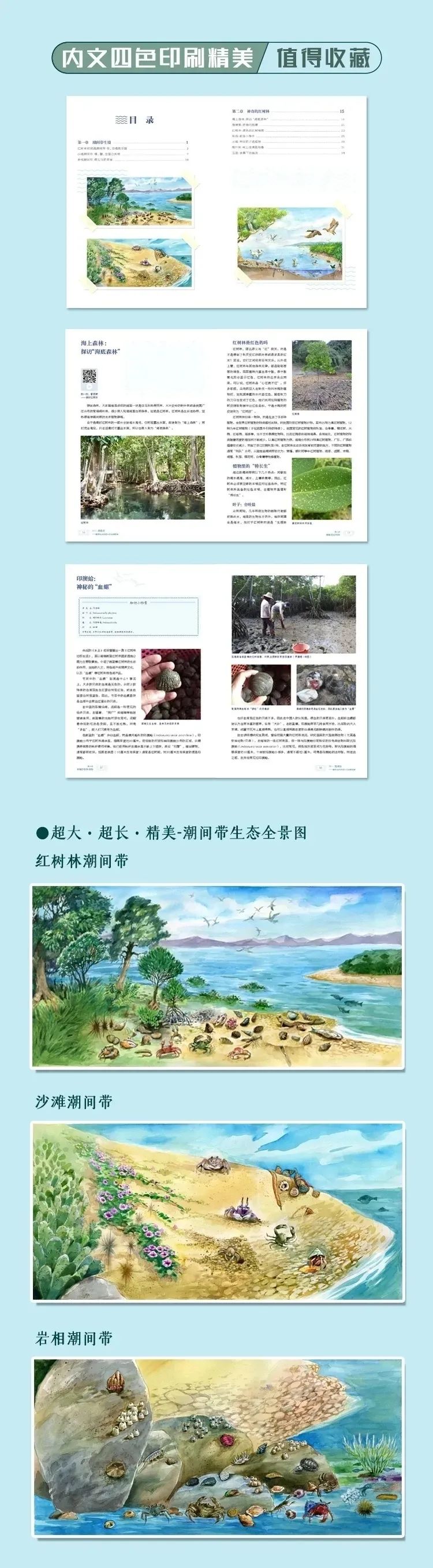 鎺㈢娴锋磱姘存瘝绉戞櫘,娼滄按鍛樻捣搴曟帰闄╀笉鏂欐児鎬掑ぇ鐧介波