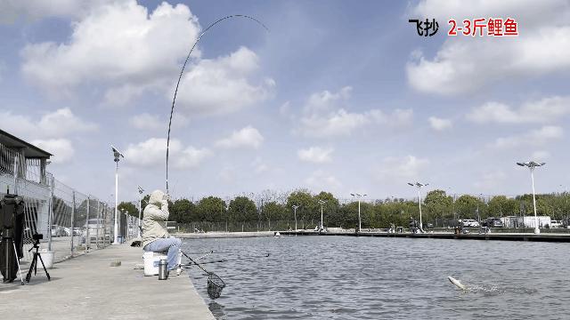 钓友公认十款性价比高的黑坑鱼竿,钓友公认黑坑十款性价比高的鱼竿