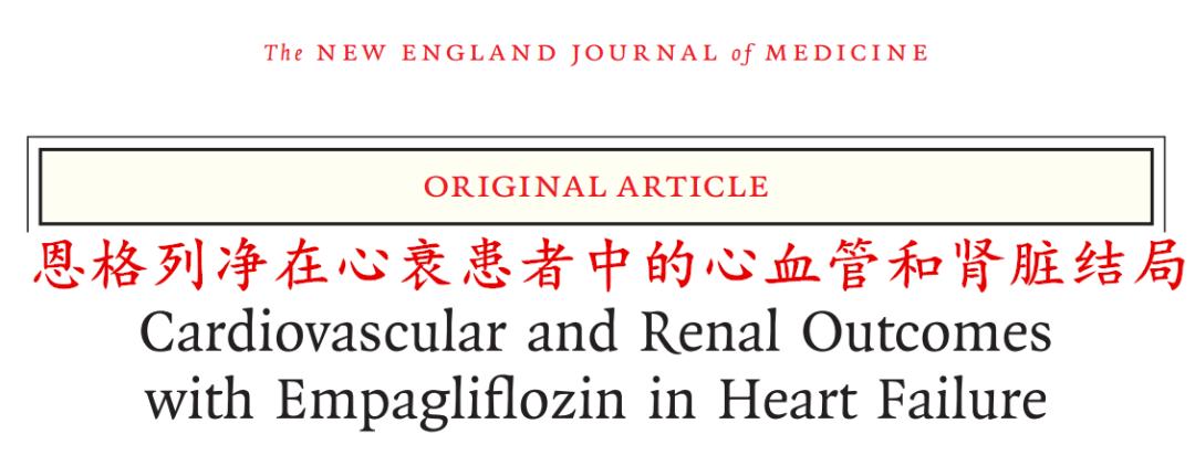 sglt2抑制剂治好肾病吗,肾病治疗迎来大突破