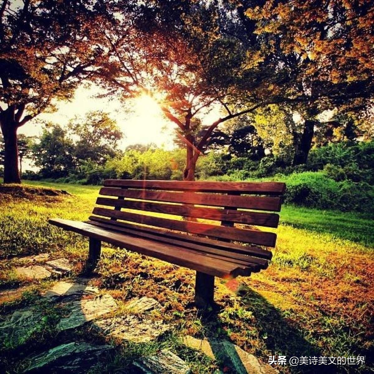 张爱玲经典爱情诗句,张爱玲完整爱情句子