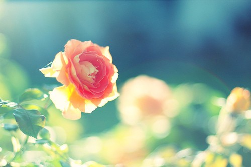 守心不会出错守嘴不会出祸,守嘴不出祸守心不出错