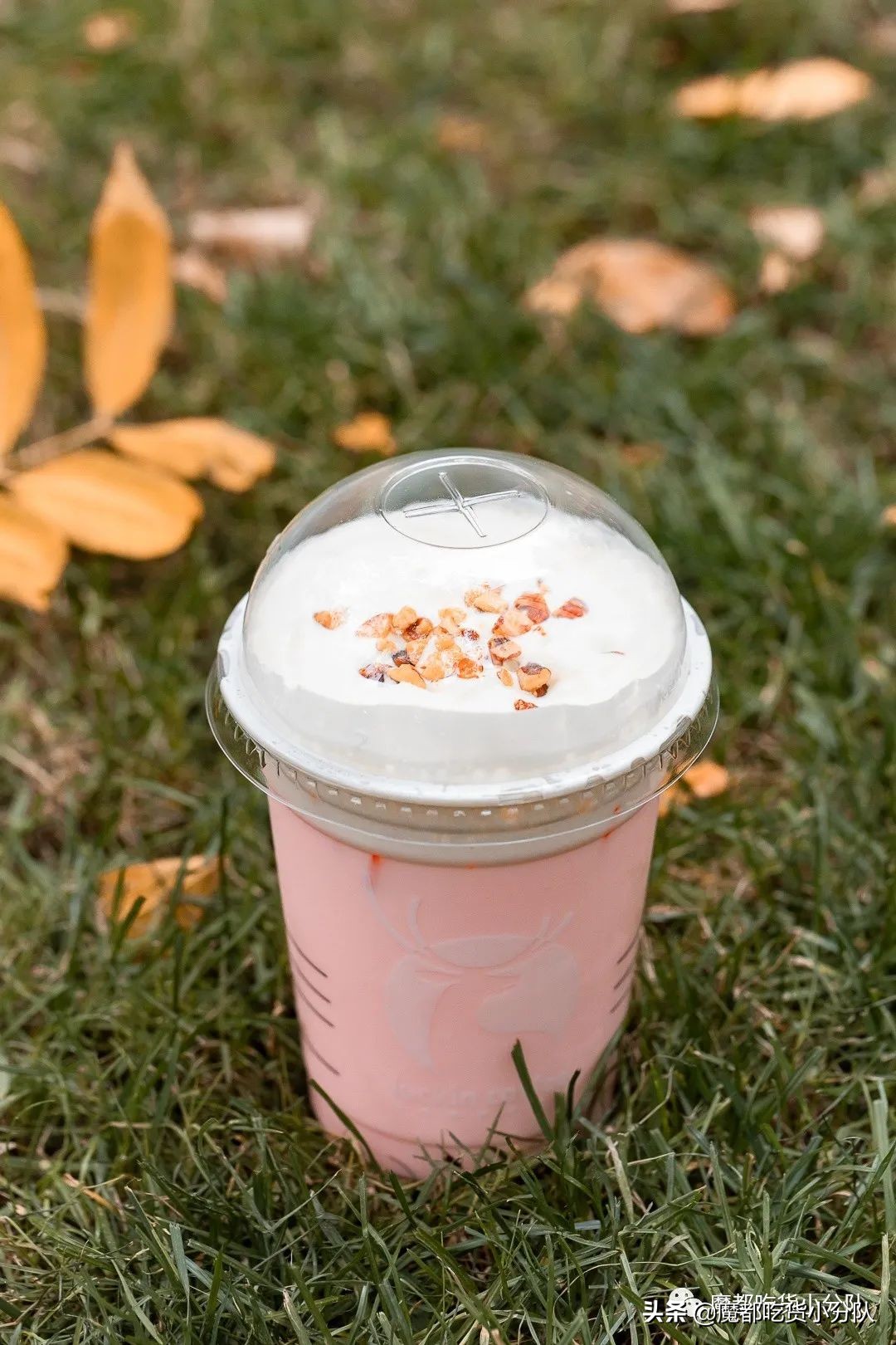 特大草莓一斤,特大果草莓5斤