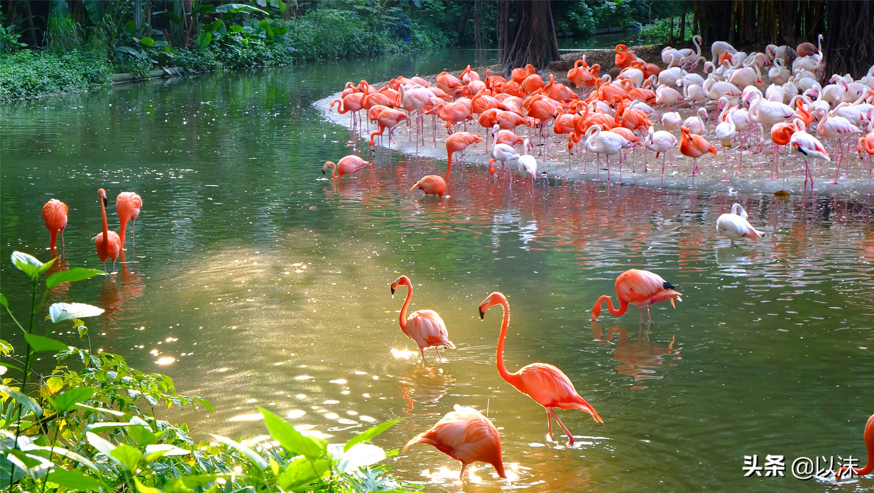长隆野生动物世界游玩攻略,长隆野生动物世界带娃攻略