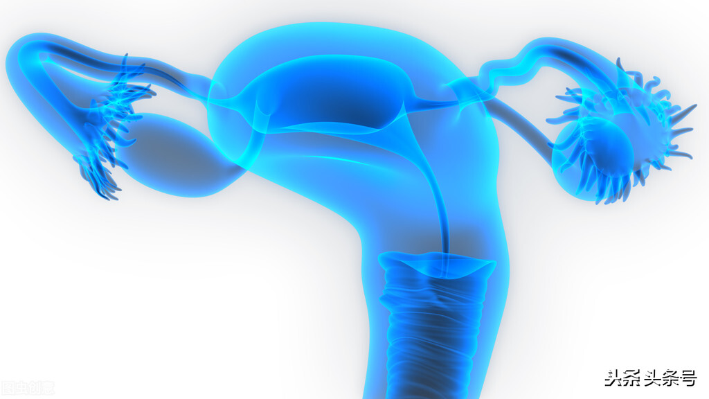 盆腔炎病原体及其致病特点