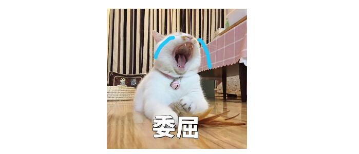 广西师范大学的应用心理考研难吗,广西师范大学心理学复试难吗