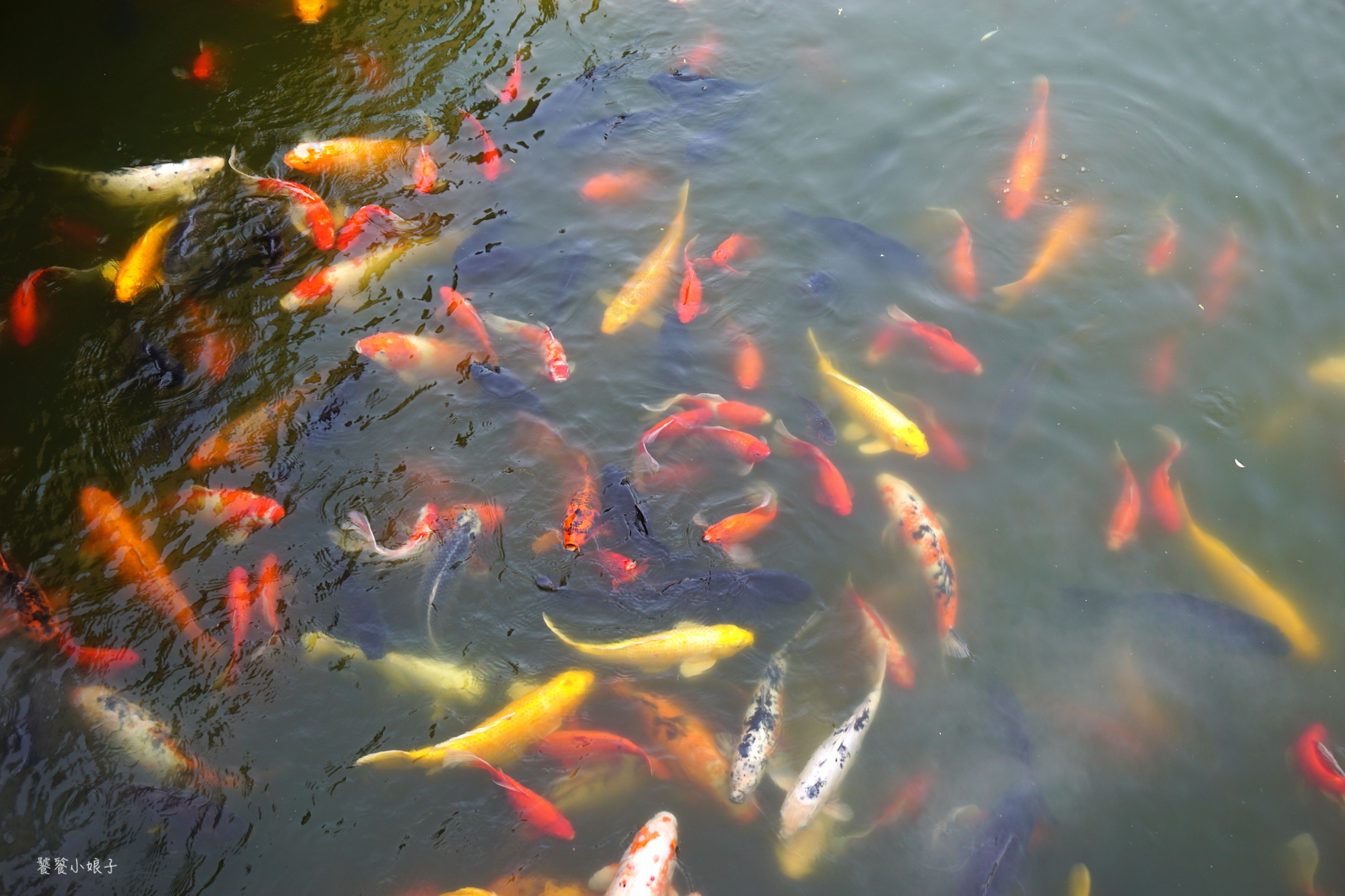 清明上河园门票120含东京梦华录吗,120元门票的清明上河园值不值