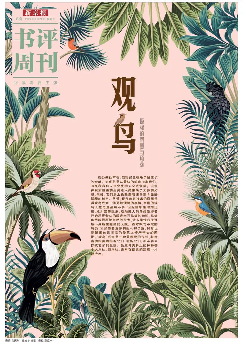 爱鸟的正确护鸟方法,爱鸟护鸟的小方法