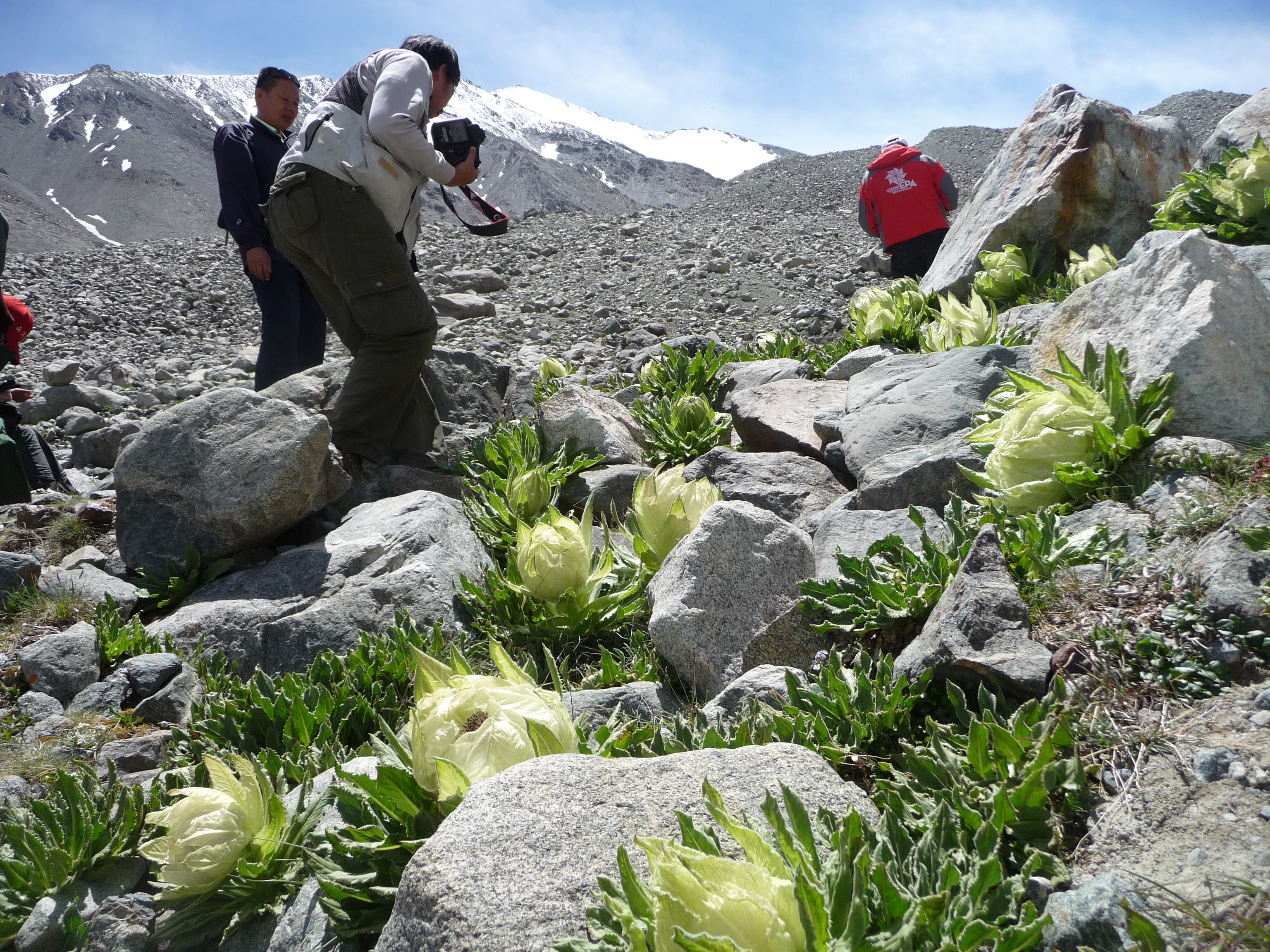 西部明珠，大美伊吾，体育+旅游打造最强第三产业
