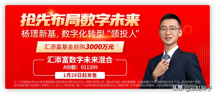 NO.491｜汇添富基金杨瑨-汇添富数字未来，值不值得买？