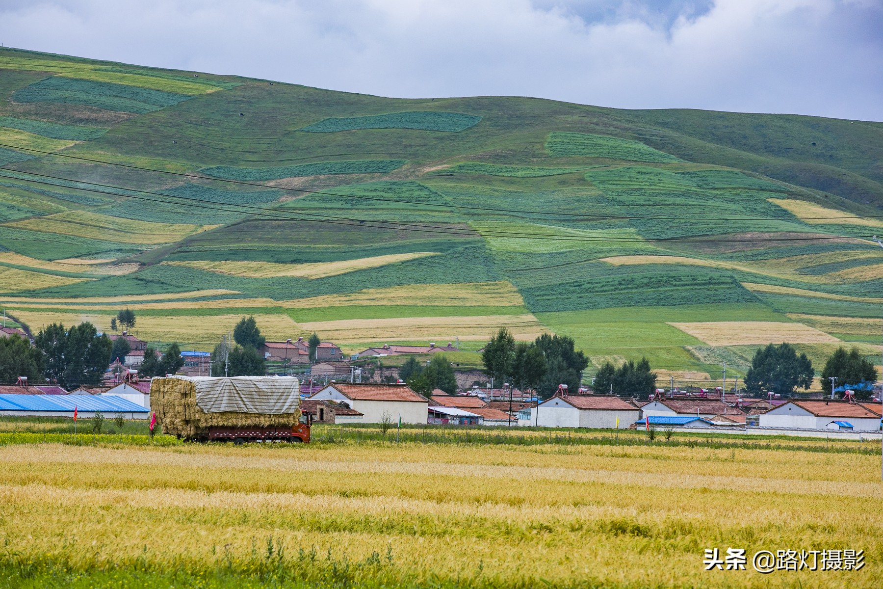 中国最美油菜花赏花地图,中国最美油菜花打卡地方