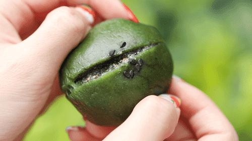 不时不食|有一种念念不忘，叫做青团