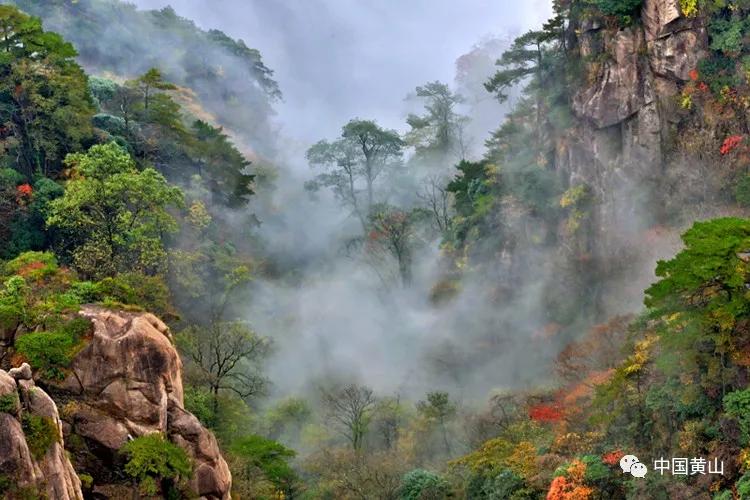 榛勫北绉嬪ぉ鎵撳崱,榛勫北绉嬪啲鎽勫奖澶ц禌