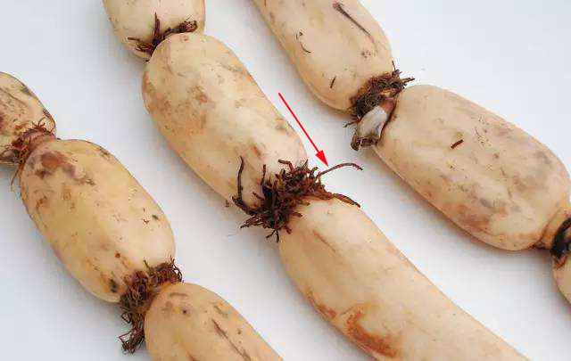 说文解字第0019集,说文解字第143课全集