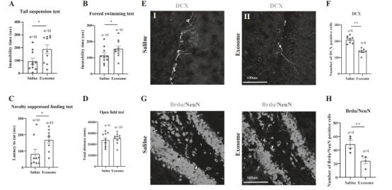 双歧杆菌可以治疗抑郁焦虑吗,抑郁患者吃双歧杆菌有用吗