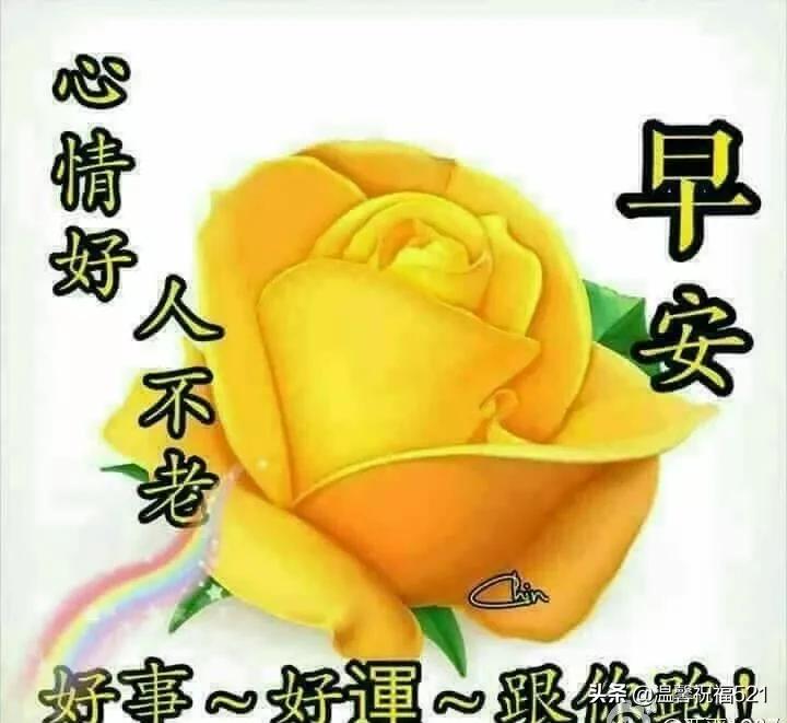 有品位的早安短语祝福短信,虎年大年初三早安祝福短信