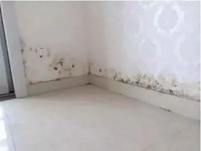 墙面返黄怎么处理,墙面泛碱原因和治疗方法