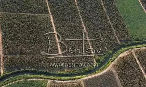 物联网水肥一体化以色列,菜吧家庭农场运营