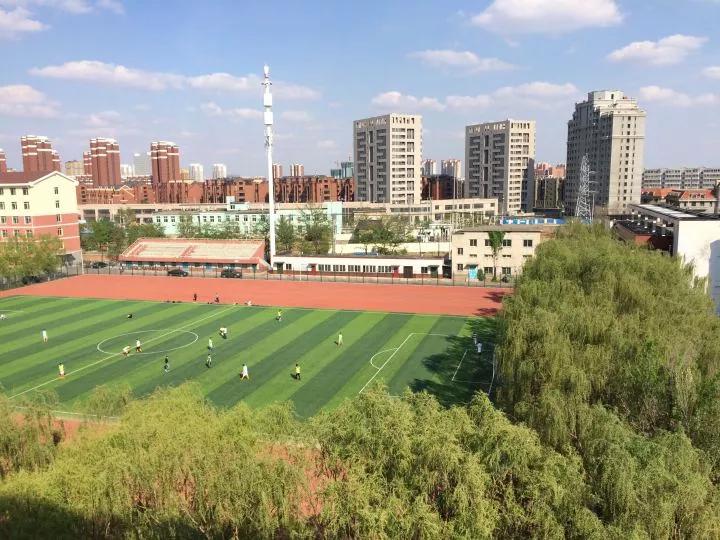 沈阳化工大学辽宁省排名,沈阳化工大学2020招生计划辽宁省