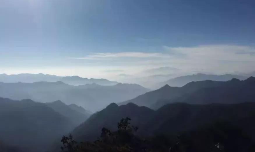 聂仲秋判决几年,聂仲秋职务