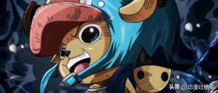 海贼王新世界中的船医们,海贼王新世界所有船员