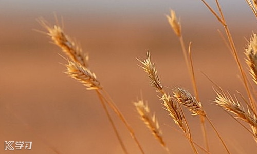 大学生职业生涯规划书免费模板ppt,职业生涯规划书模板word免费下载