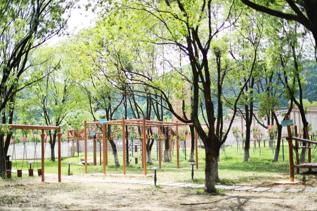 房车露营旅行推荐,自驾出游露营野炊房车营地