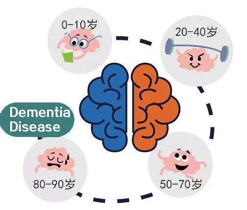 痴呆与认知障碍,大脑痴呆能根治吗