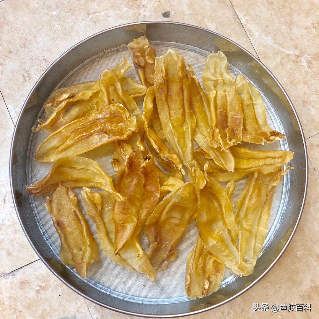 北海公胶与黄花胶哪个胶质好,即食花胶鱼胶食用方法