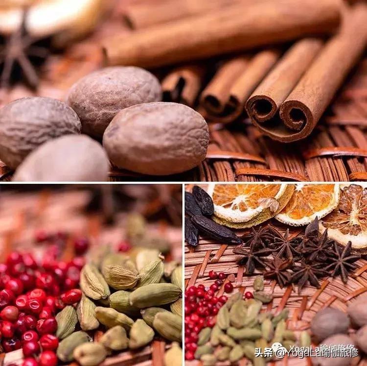 YogaLa2019印度南部阿育啡陀认证课程+排毒解压之旅