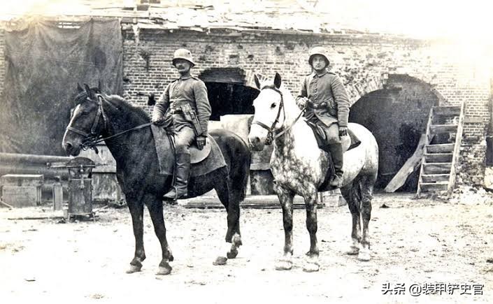 大红九和红九九区别,大红九和红九九有什么区别