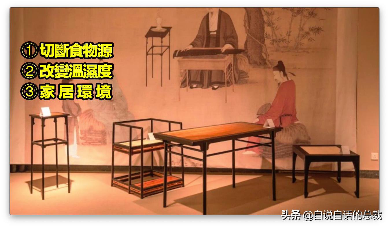 毛囊异型,毛囊里的异形物