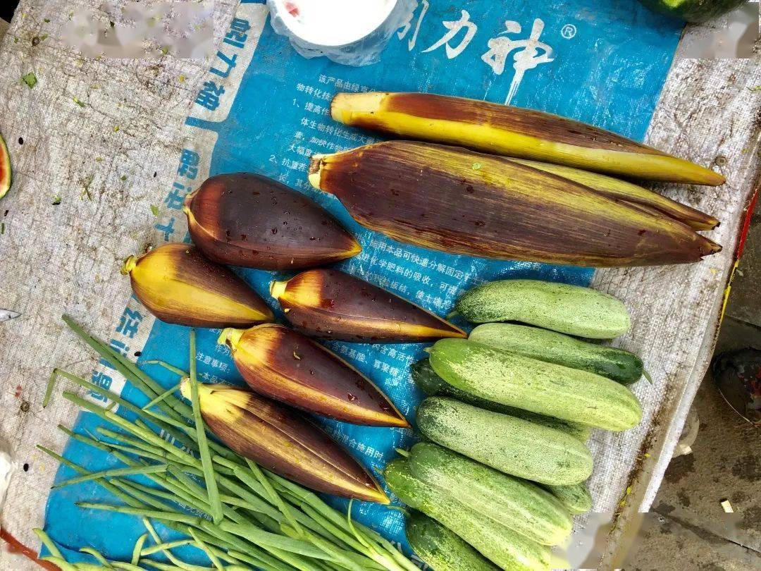 云南带毒的美食,云南带菌的美食