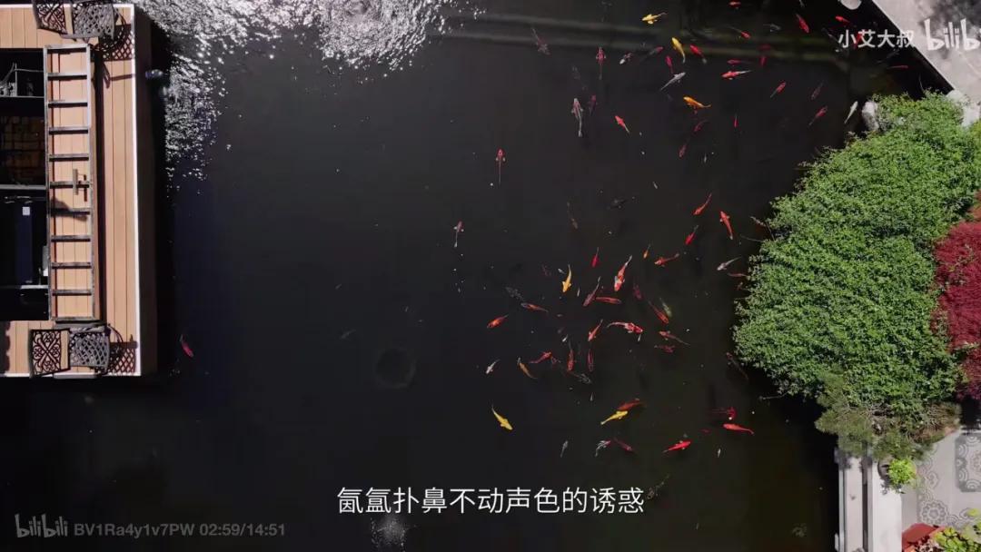 80%人对中式审美没信心？50岁大叔却花20年造园子，年轻人都喜欢