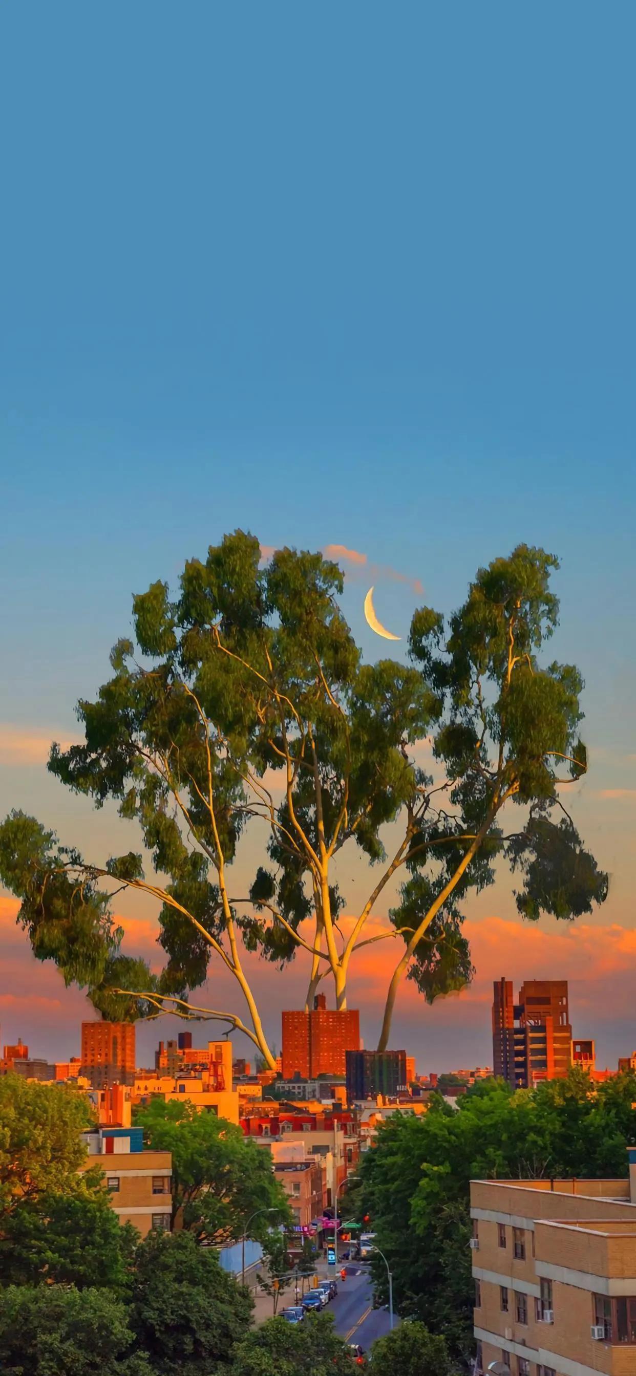 让人很惊艳的微信壁纸,2021独一无二微信背景高清壁纸