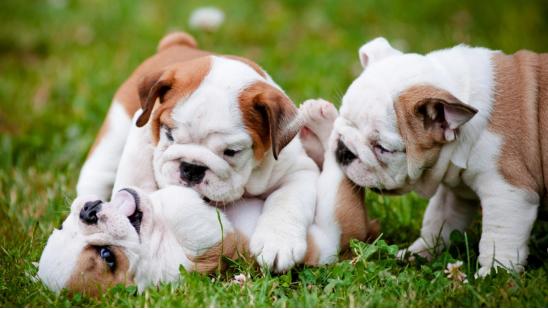 明基ew2780q显示器操作说明,明基ew2780q办公