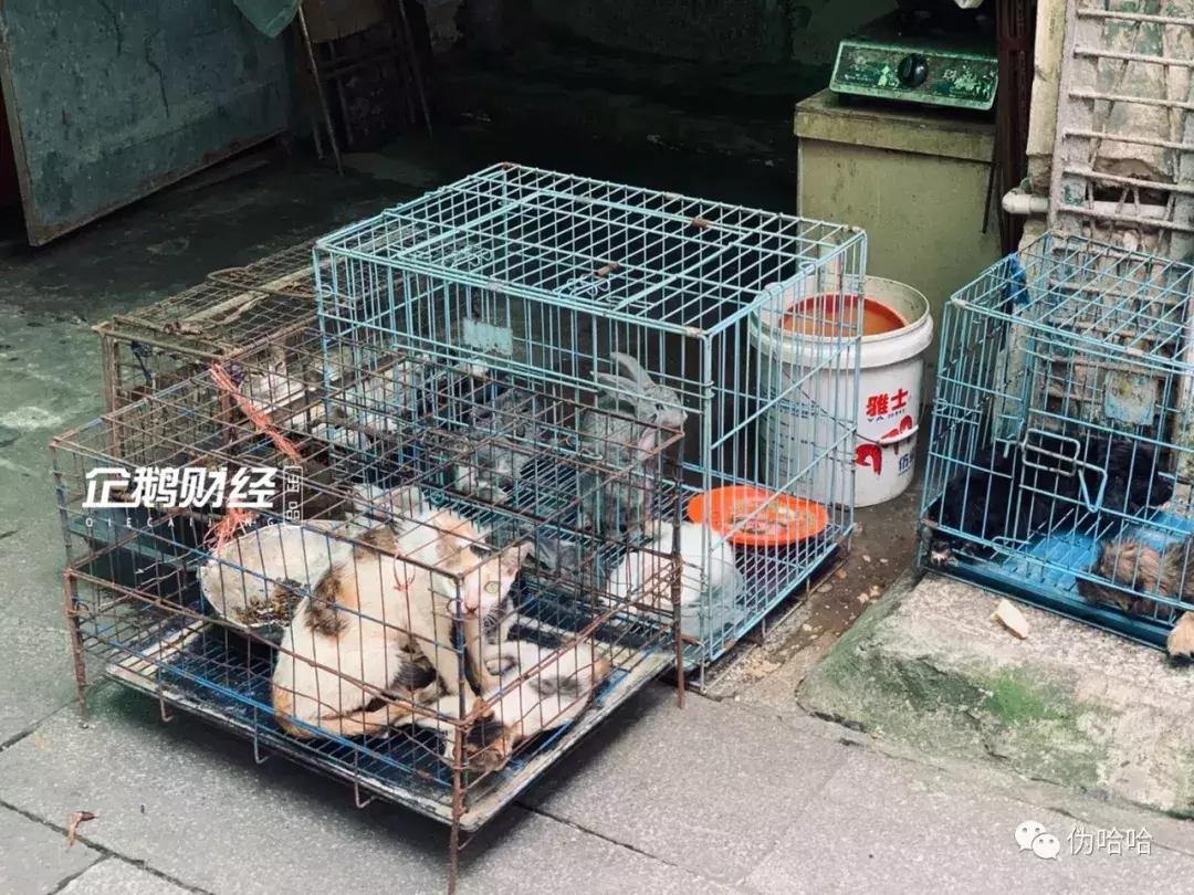 惠阳老街,城市记忆惠州